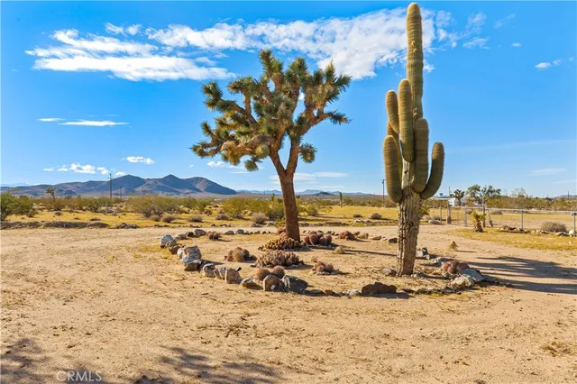 a view of an ocean beach