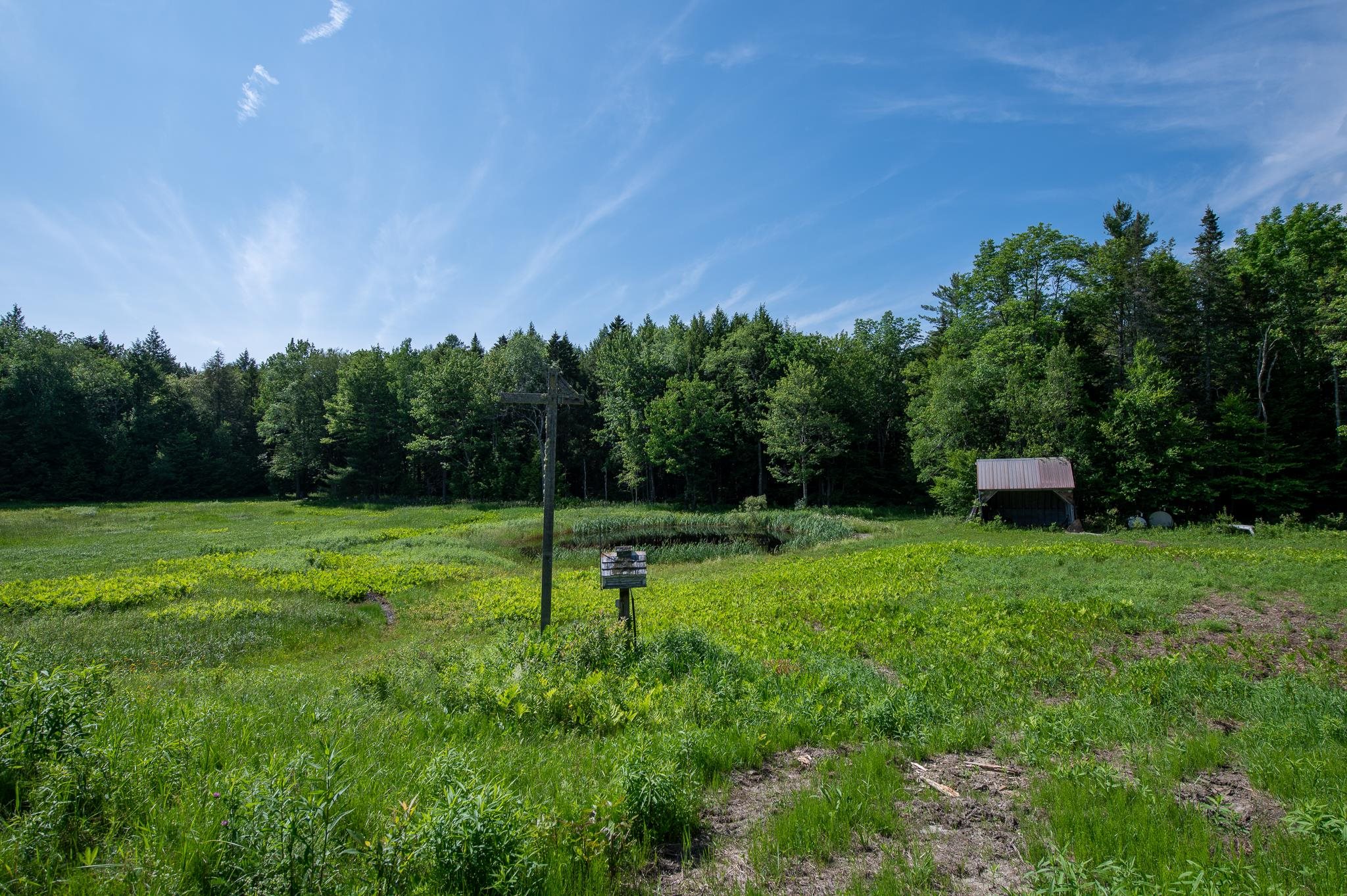 340 Melendy Hill Road Londonderry, VT 05155 - Photo 23 of 30