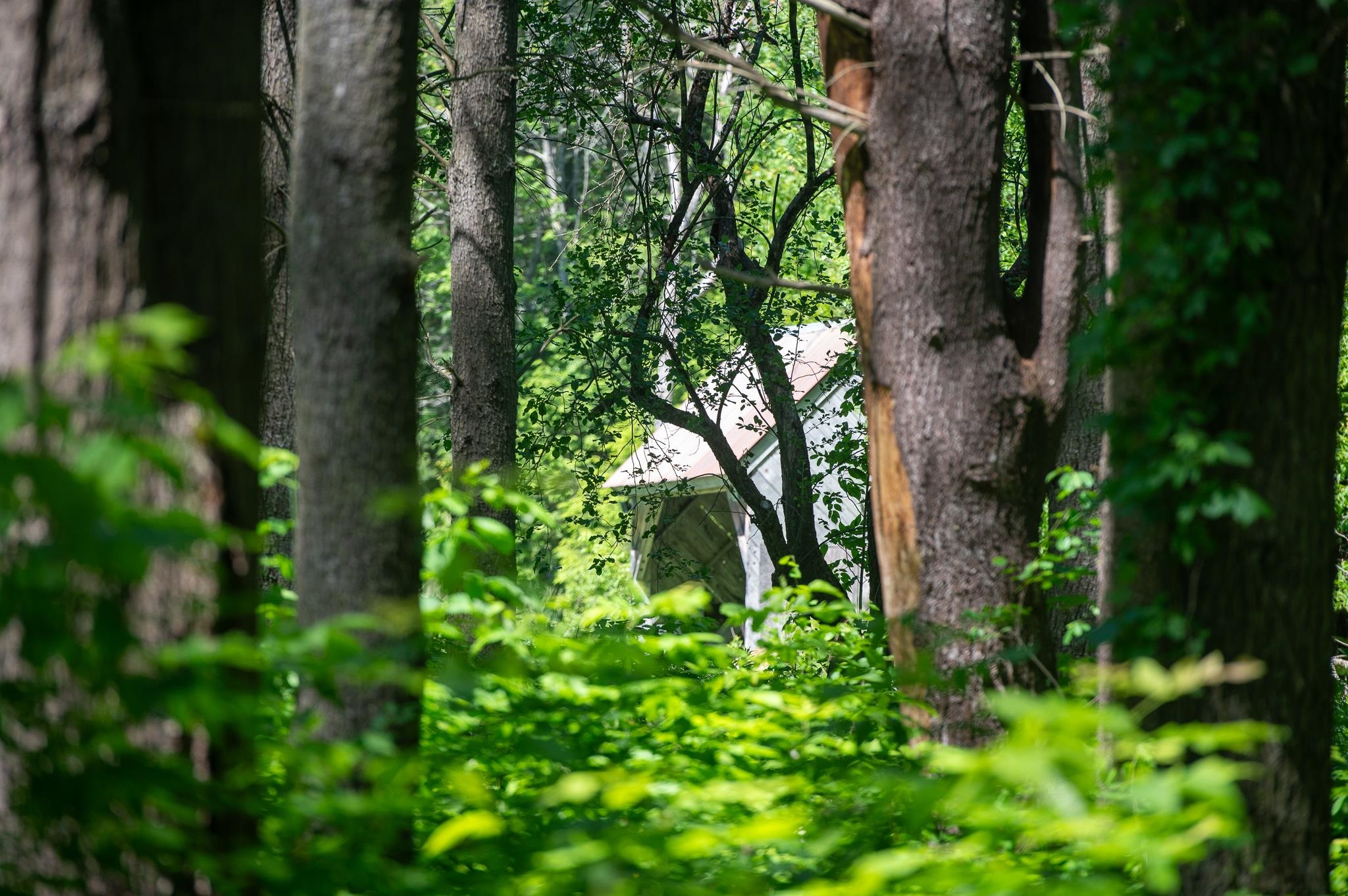 340 Melendy Hill Road Londonderry, VT 05155 - Photo 4 of 30