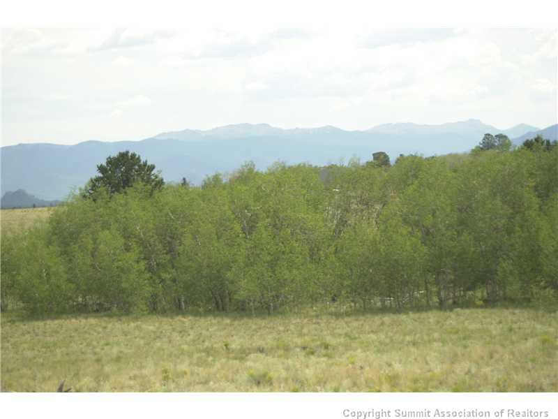 2992 Buffalo Ridge Road Como, CO 80432 - Photo 12 of 25 Exterior Front.
