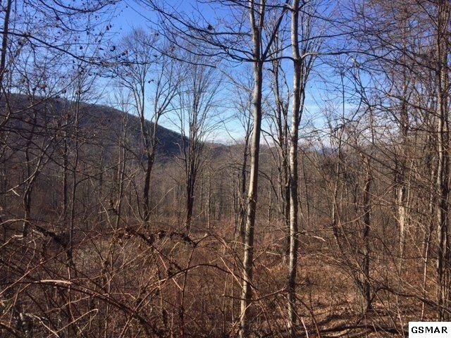 36 Round Mountain Del Rio, TN 37727 - Photo 2 of 8 Gallery Image 2