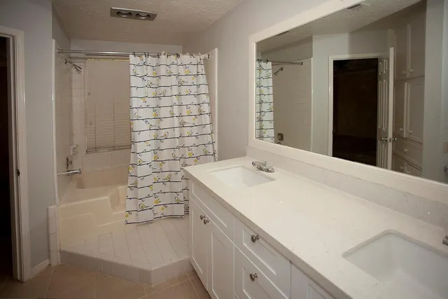 a bathroom with a sink and a shower