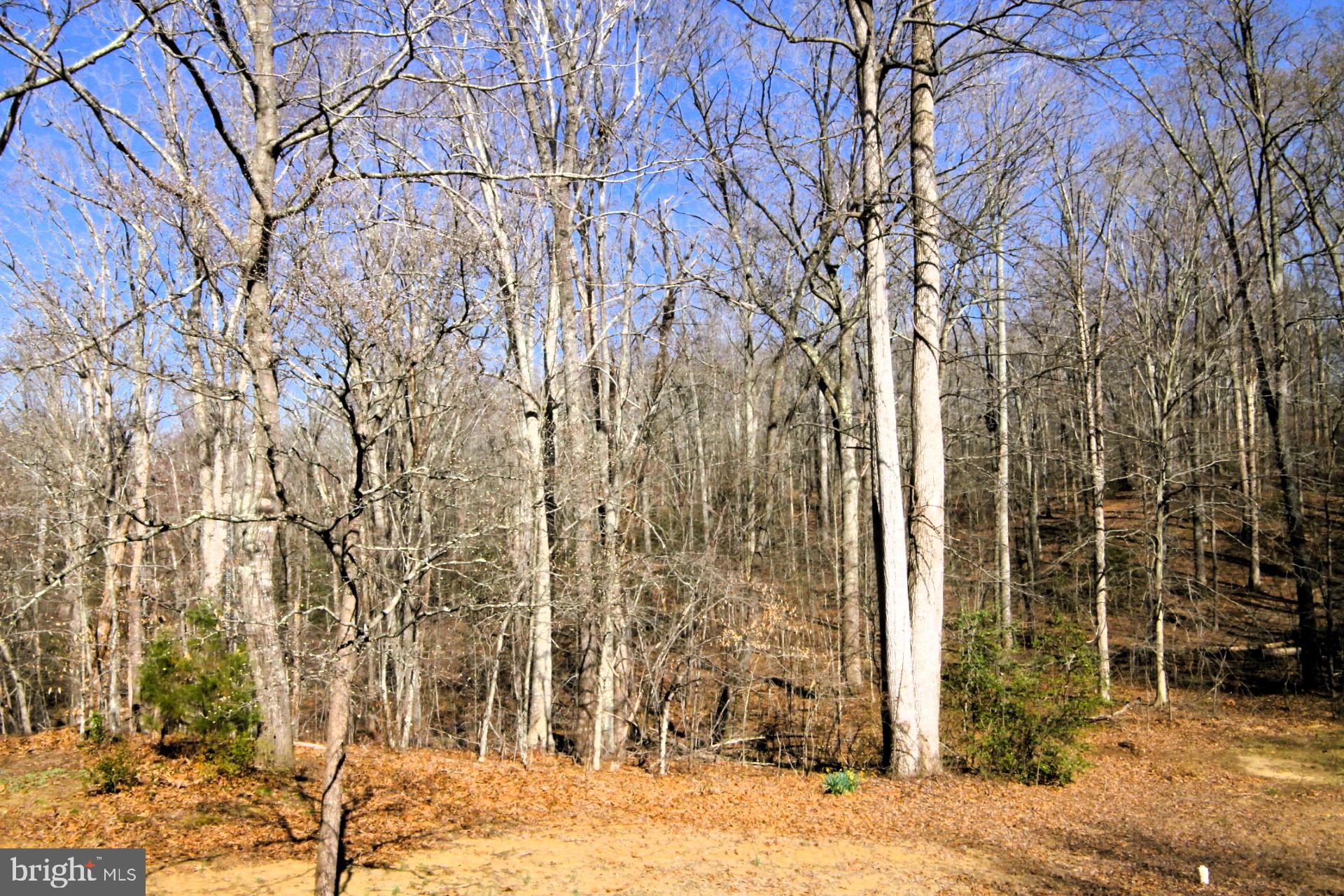 4695 Sands Road Harwood, MD 20776 - Photo 48 of 49 View of the front yard