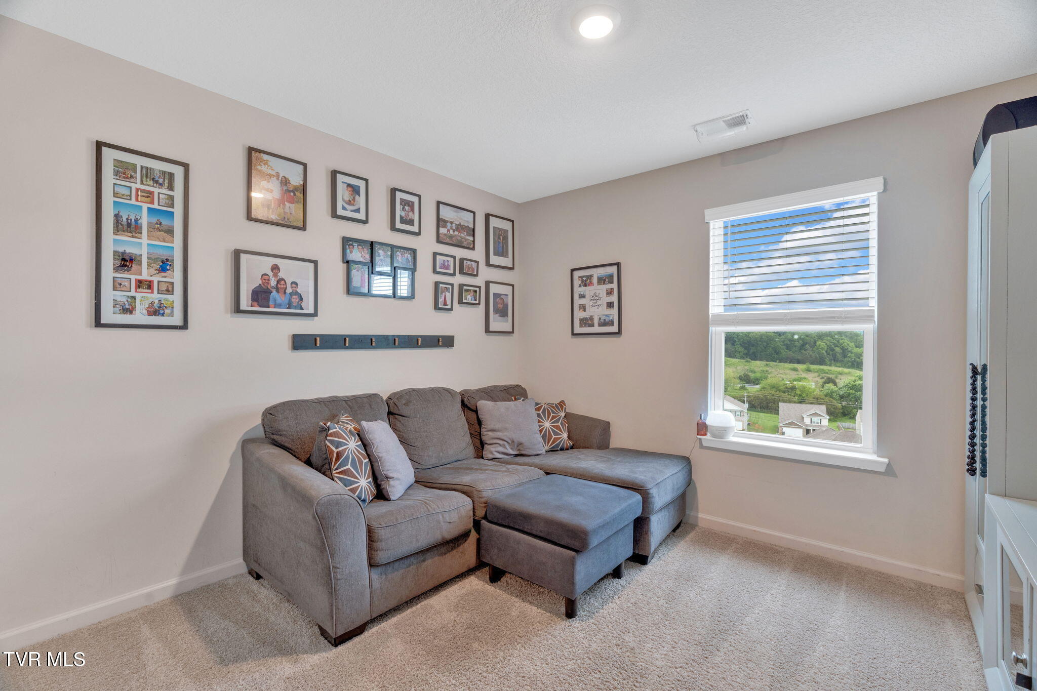 2927 Southbridge Road Kingsport, TN 37664 - Photo 22 of 40 22-web-or-mls-DSC09635