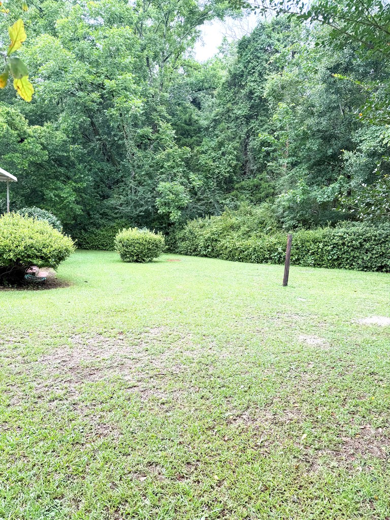739 Lake Frankie Road Samson, AL 36477 - Photo 28 of 31