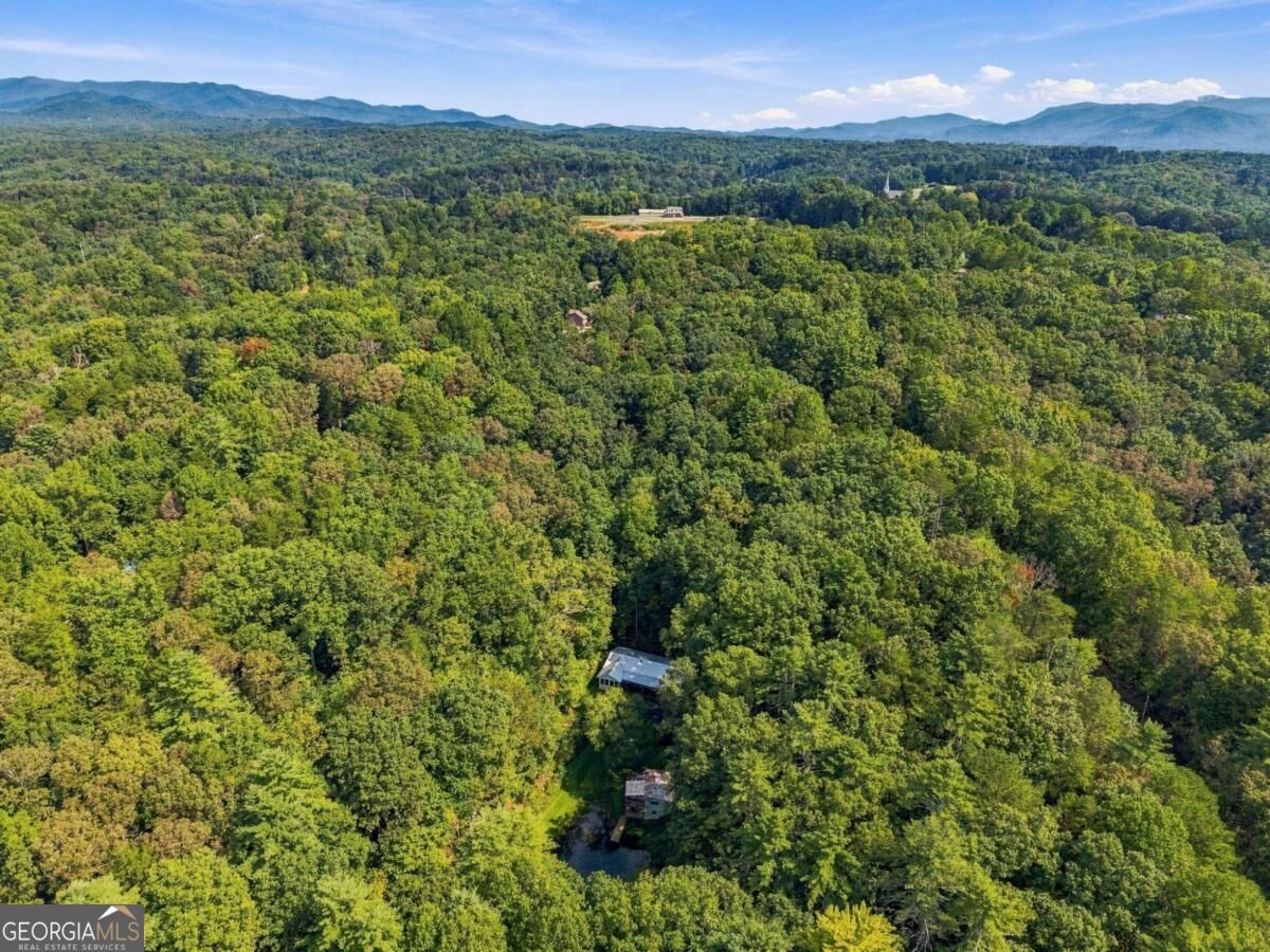 250 McCollum Road, Unit 1R Ellijay, GA 30540 - Photo 38 of 42 Gallery Image 38