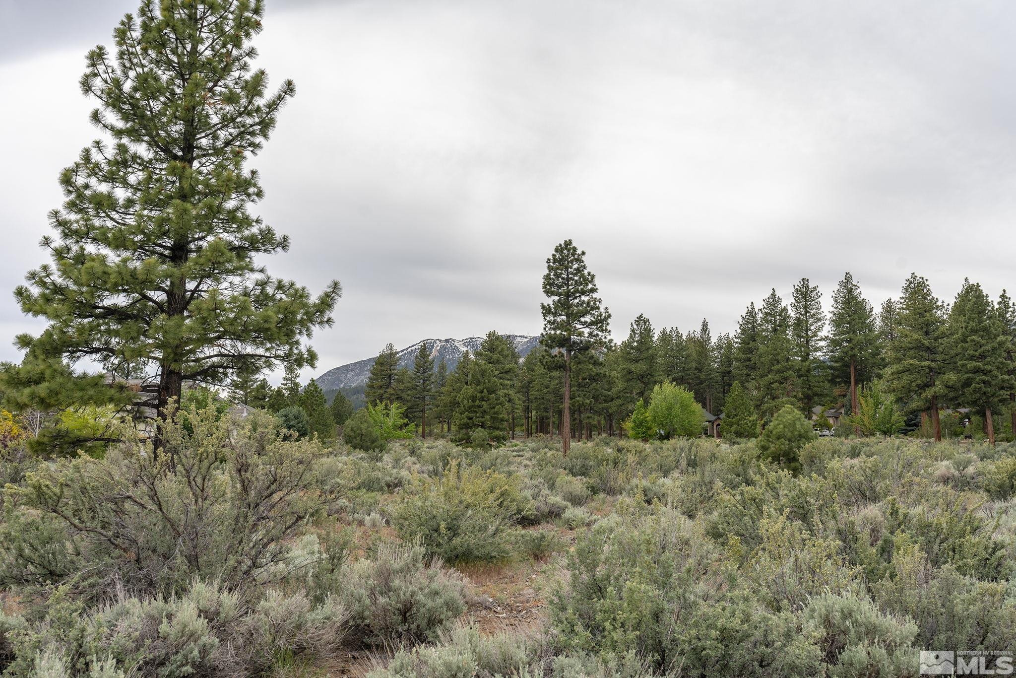 187 Carleton Court, Unit 402 Reno, NV 89511 - Photo 6 of 14 Photo 6