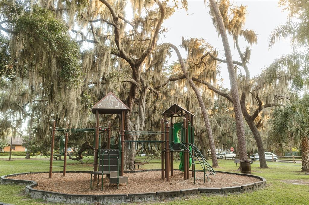713 Main Street Windermere, FL 34786 - Photo 77 of 82
