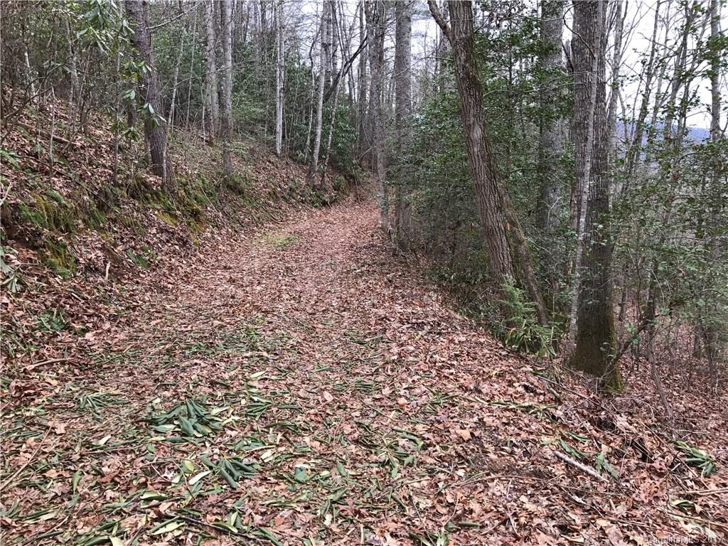 Lot 2 Ivy Ridge Circle Sylva, NC 28779 - Photo 1 of 7 Gallery Image 1