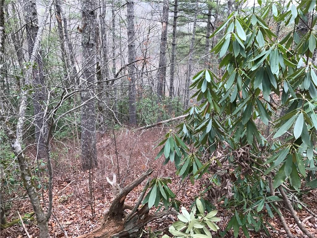 Lot 2 Ivy Ridge Circle Sylva, NC 28779 - Photo 2 of 7 Gallery Image 2