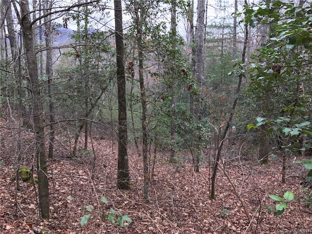 Lot 2 Ivy Ridge Circle Sylva, NC 28779 - Photo 3 of 7 Gallery Image 3