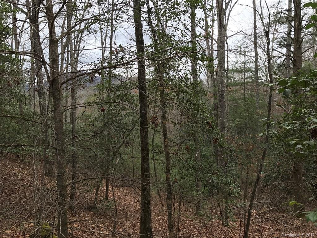 Lot 2 Ivy Ridge Circle Sylva, NC 28779 - Photo 4 of 7 Gallery Image 4