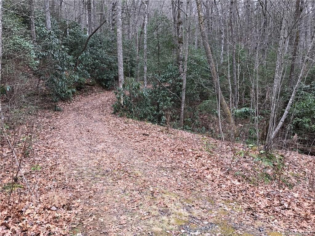 Lot 2 Ivy Ridge Circle Sylva, NC 28779 - Photo 6 of 7 Gallery Image 6