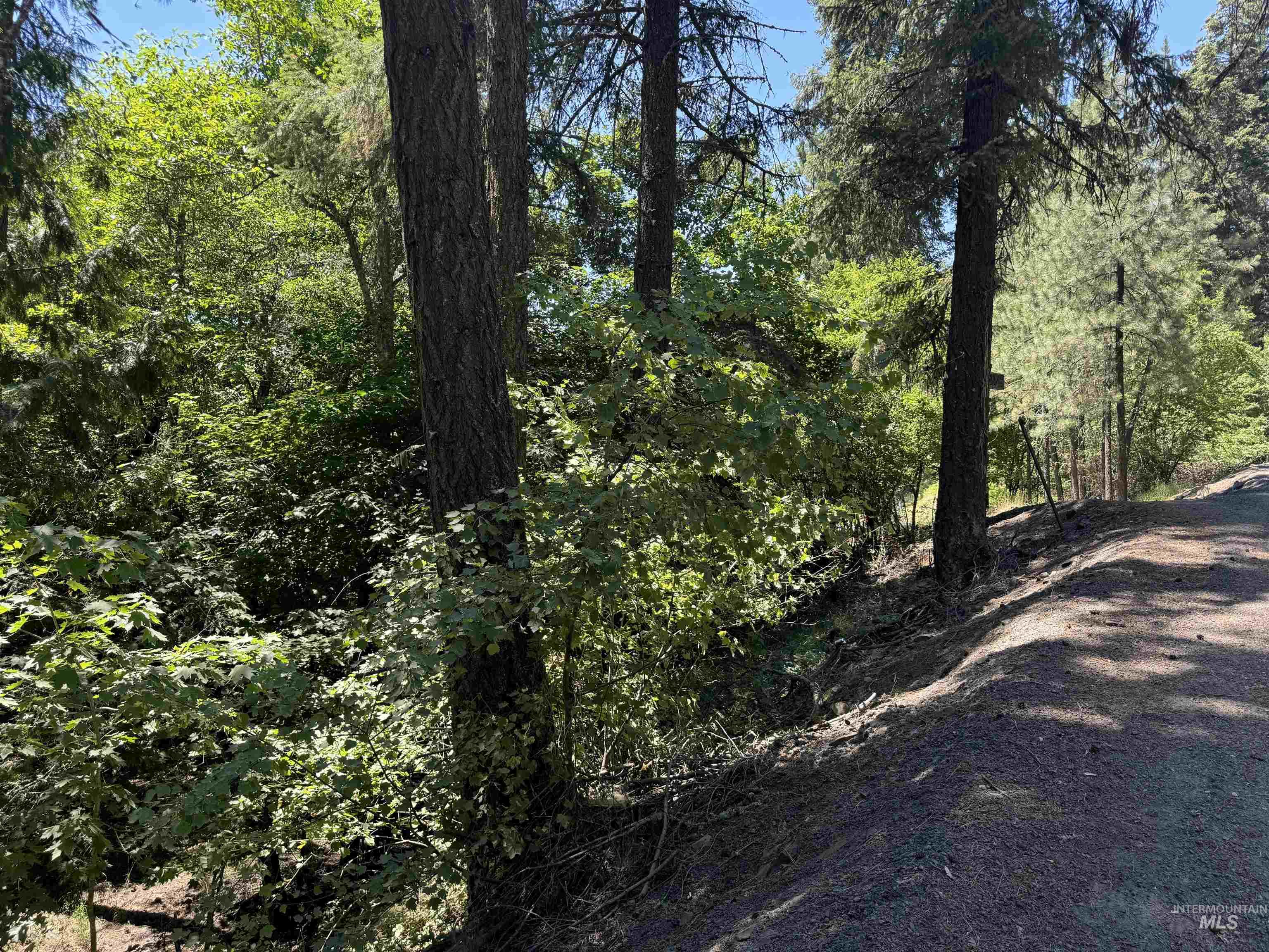 187 Deer Creek Road Orofino, ID 83544 - Photo 6 of 10