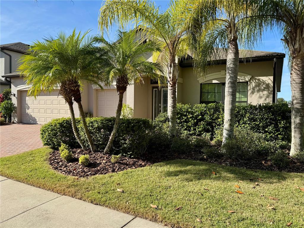 1831 Cameron Court New Port Richey, FL 34655 - Photo 47 of 63 Gallery Image 47