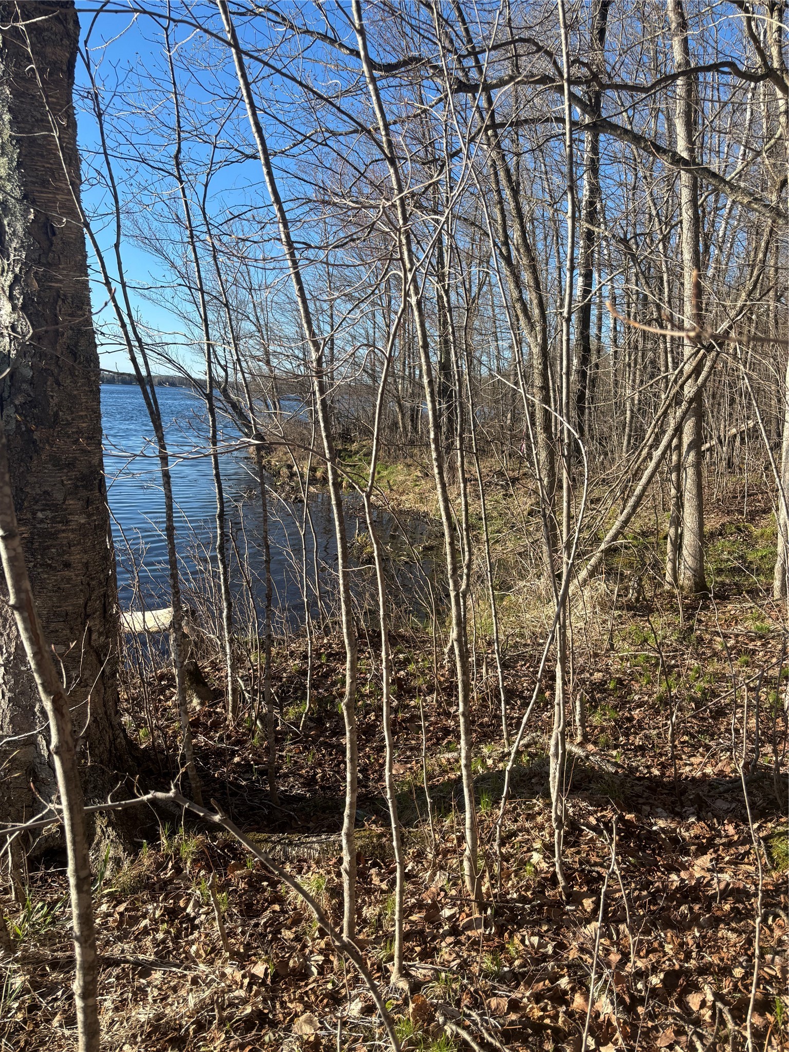 Lot 11 Lake Winter Road Winter, WI 54896 - Photo 3 of 3