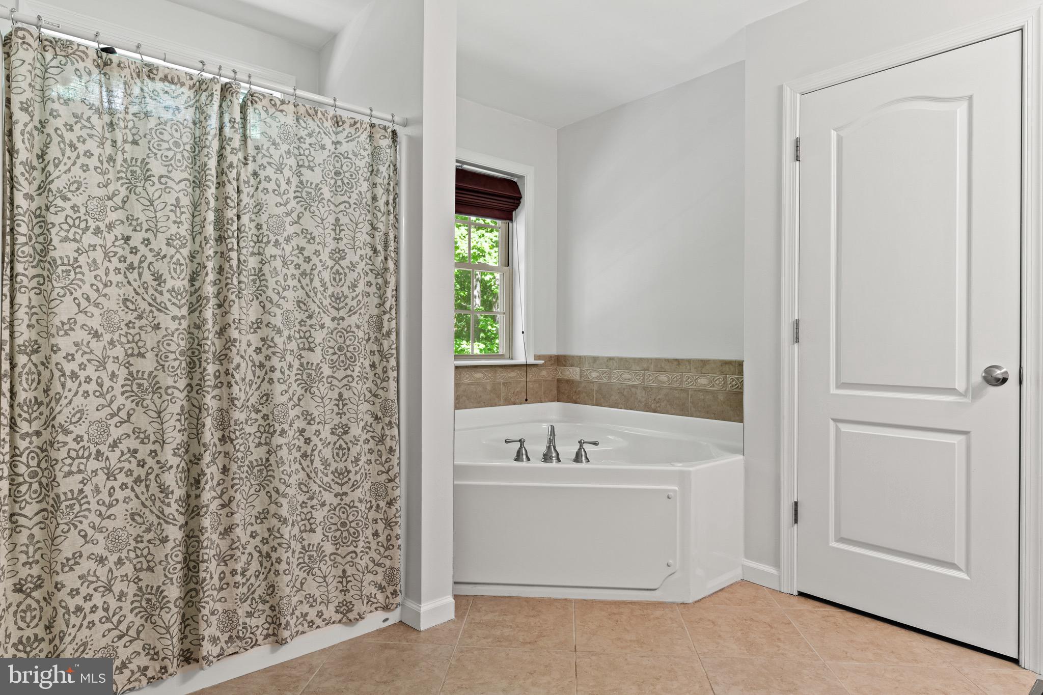 1650 Doerr Road Quakertown, PA 18951 - Photo 30 of 48 Walk-in shower and soaking tub.