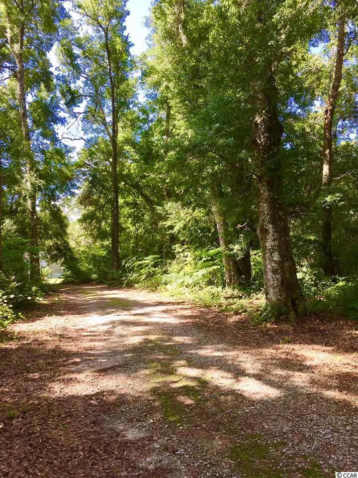 1536 Will Go Avenue Murrells Inlet, SC 29576 - Photo 2 of 12 Gallery Image 2