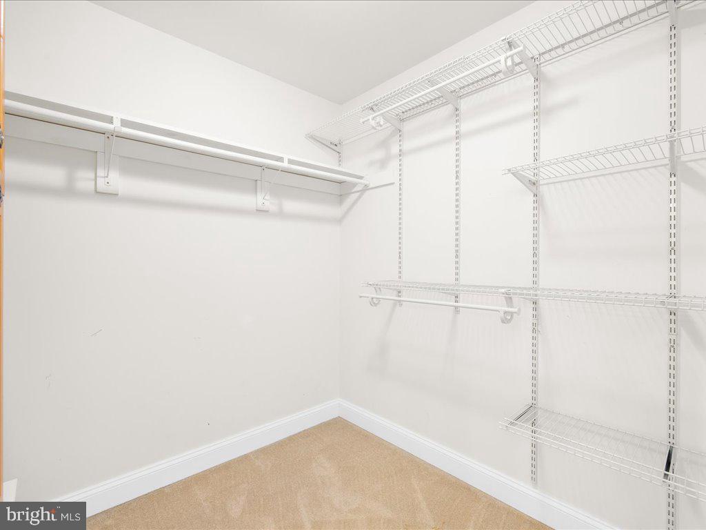 6153 Tolchester Road Rock Hall, MD 21661 - Photo 22 of 60 Walk-in Closet