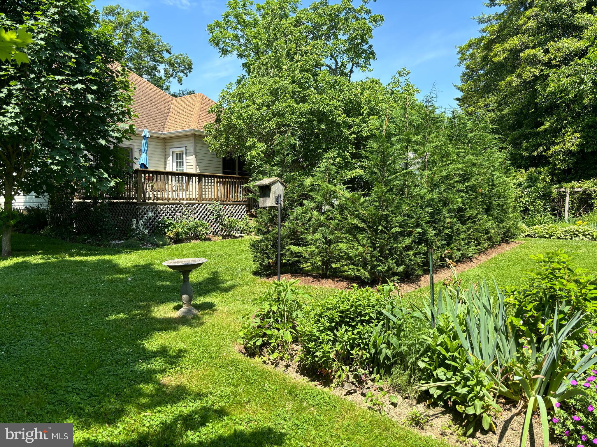 6153 Tolchester Road Rock Hall, MD 21661 - Photo 40 of 60 A spot for everyone!