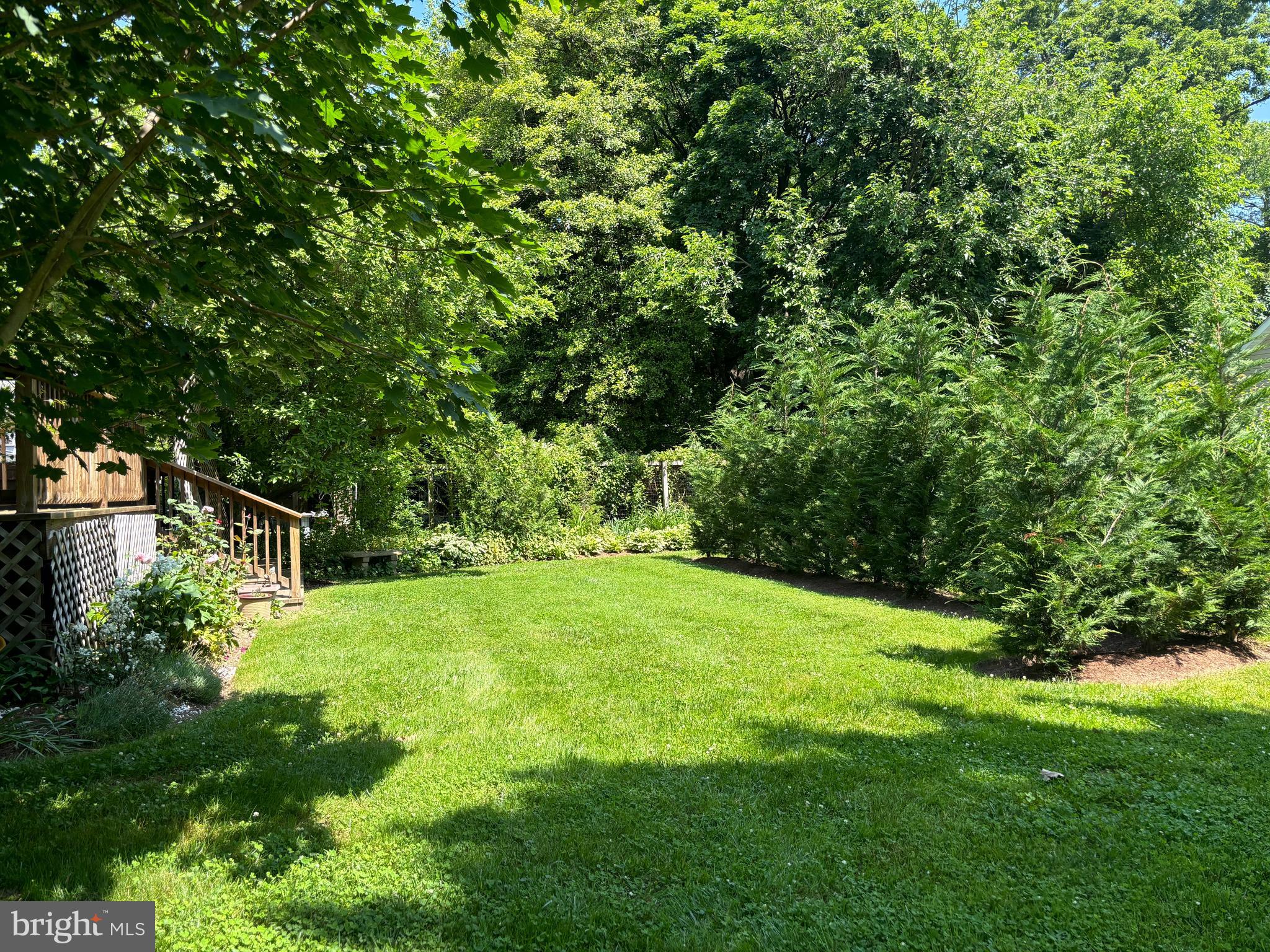 6153 Tolchester Road Rock Hall, MD 21661 - Photo 49 of 60 Peaceful Location