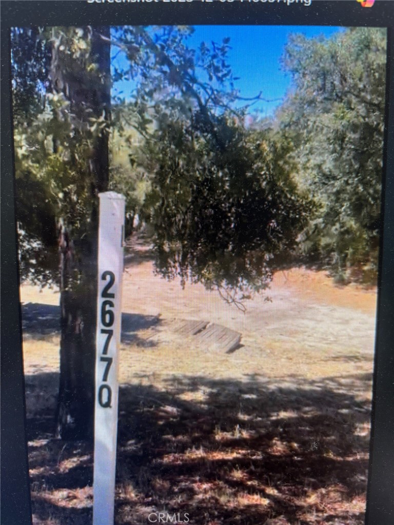 a view of a yard covered with snow in front of building