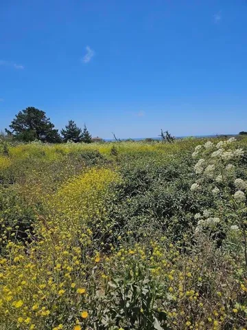 $25,000 | 0 Vienna, Half Moon Bay, CA 94019