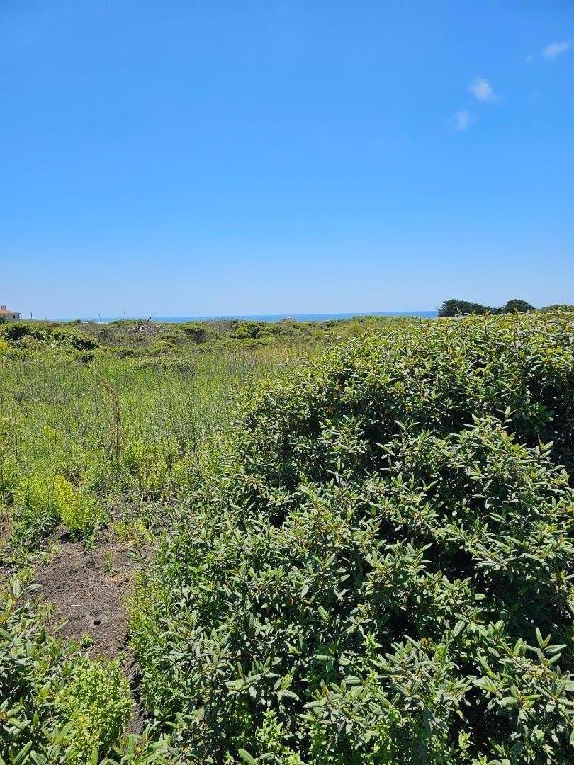 0 Vienna Half Moon Bay, CA 94019 - Photo 2 of 8 a view of an ocean