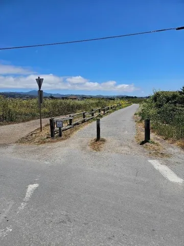 a view of a terrace with a bench