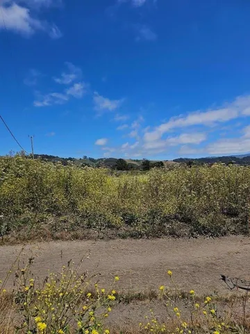 a view of an ocean beach