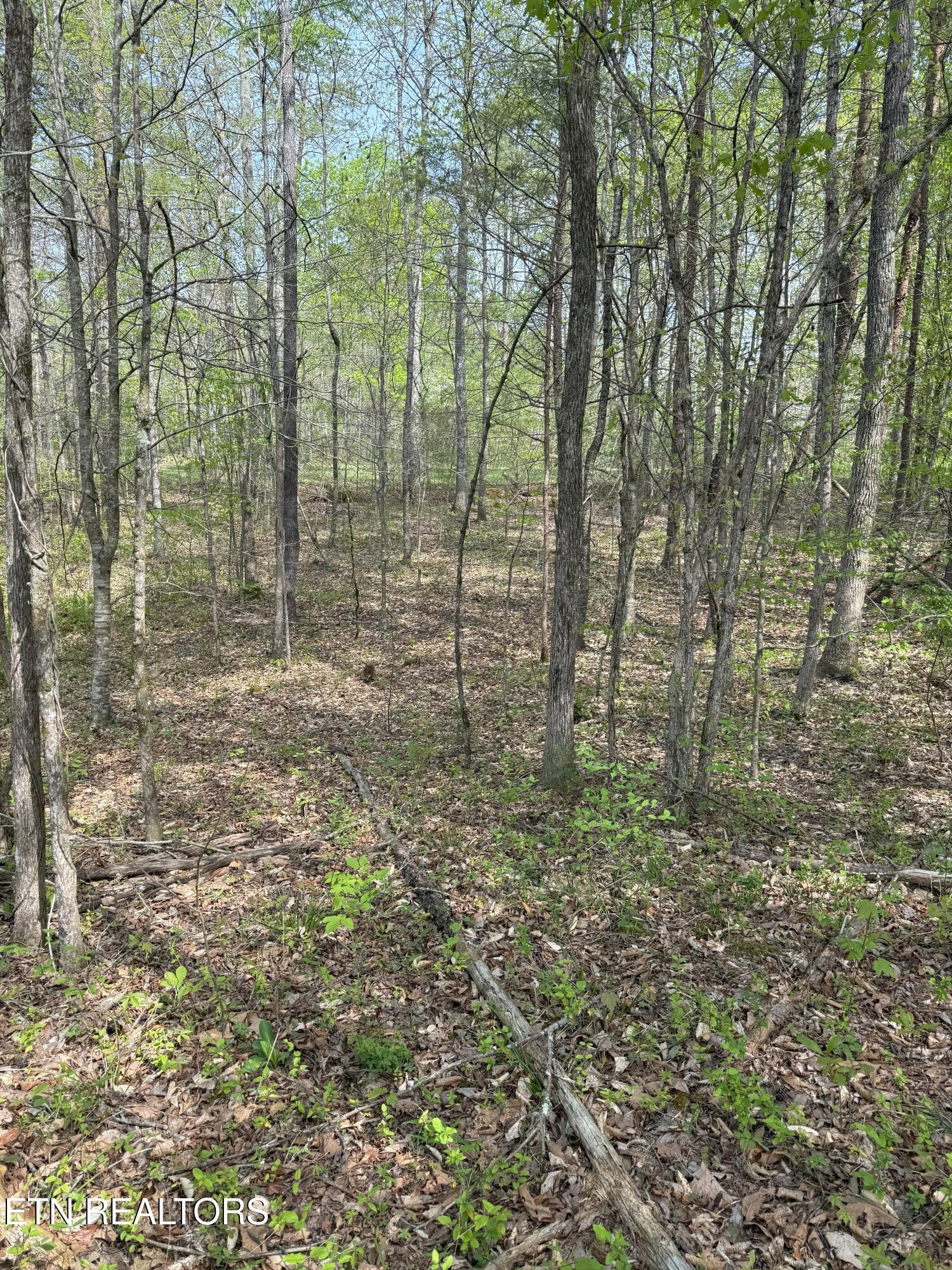Citico Road Vonore, TN 37885 - Photo 11 of 14 IMG_6548