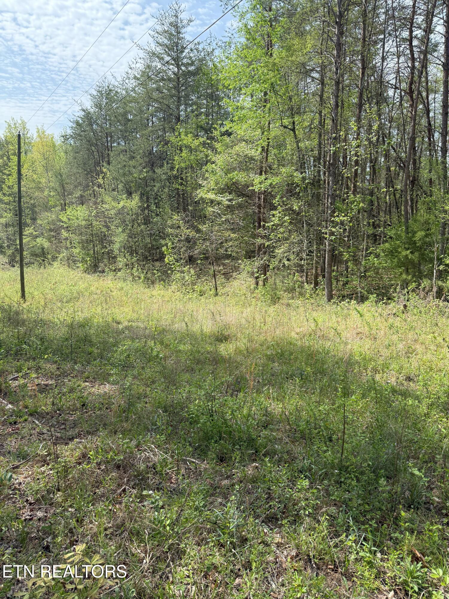 Citico Road Vonore, TN 37885 - Photo 13 of 14 IMG_6550