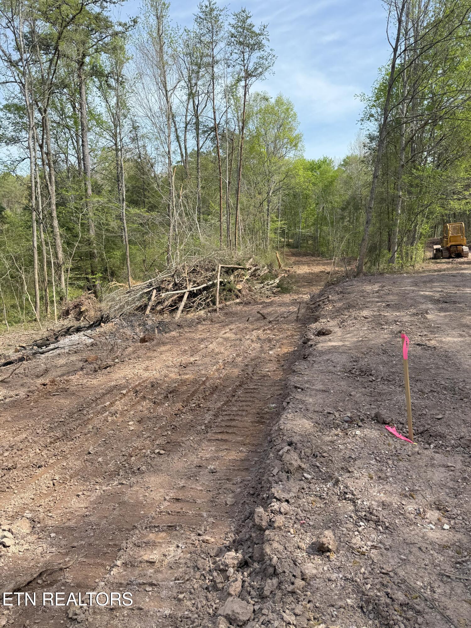 Citico Road Vonore, TN 37885 - Photo 14 of 14 IMG_6551