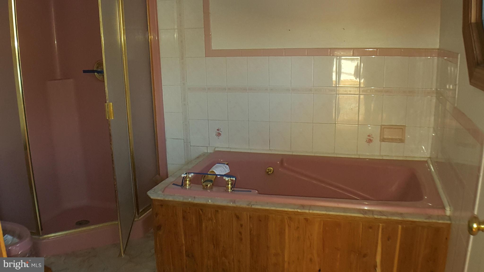 20540 Gapland Road Rohrersville, MD 21779 - Photo 12 of 20 Bath (Master)