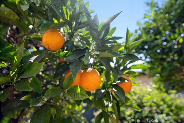 $899,500 | 6451 Riverton Avenue, North Hollywood, CA 91606