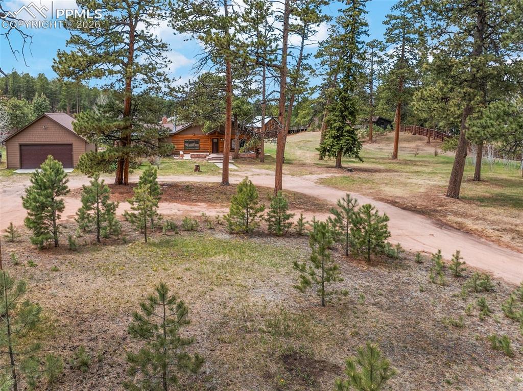 1100 Rampart Range Road Woodland Park, CO 80863 - Photo 47 of 50 Beautiful trees line the circular driveway