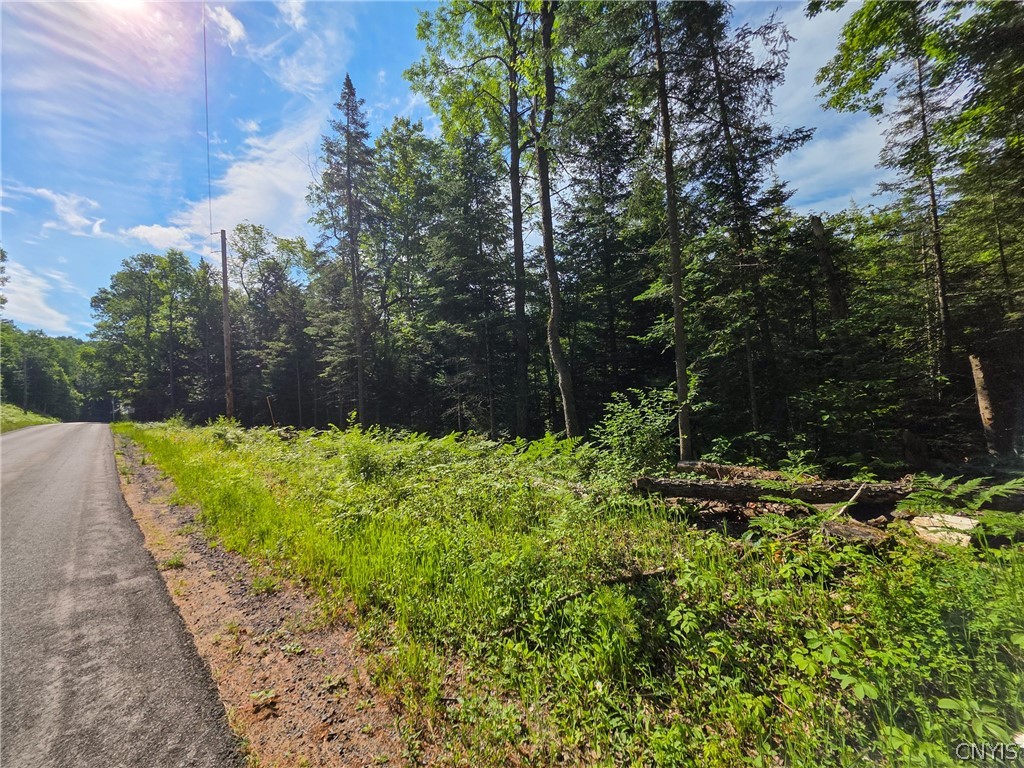 Fish Creek Road Greig, NY 13345 - Photo 13 of 14