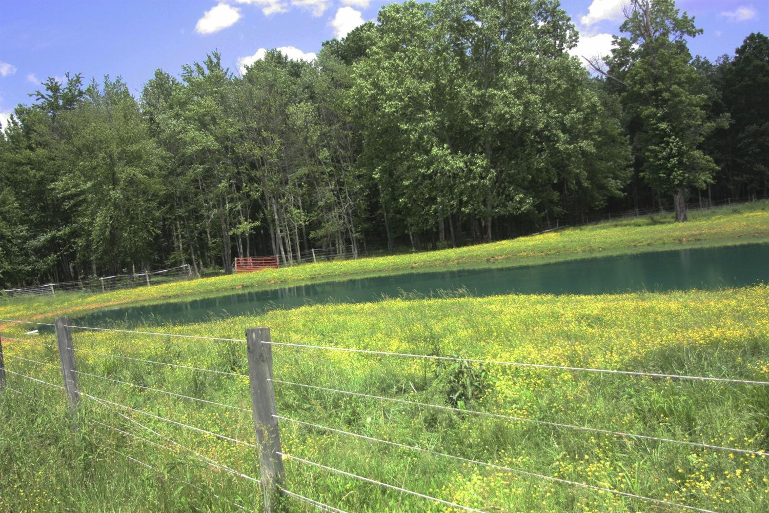 1179 Adams Ridge Road Clay City, KY 40312 - Photo 15 of 96 Photo 15