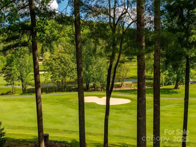 a view of a bunch of flowers