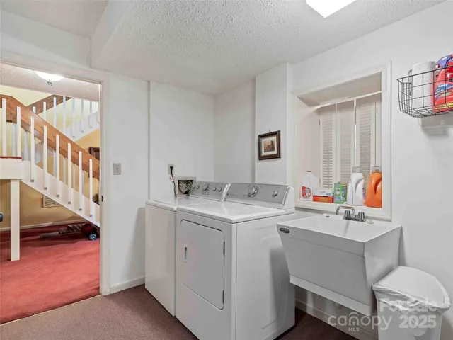 a view of a tree with a yard