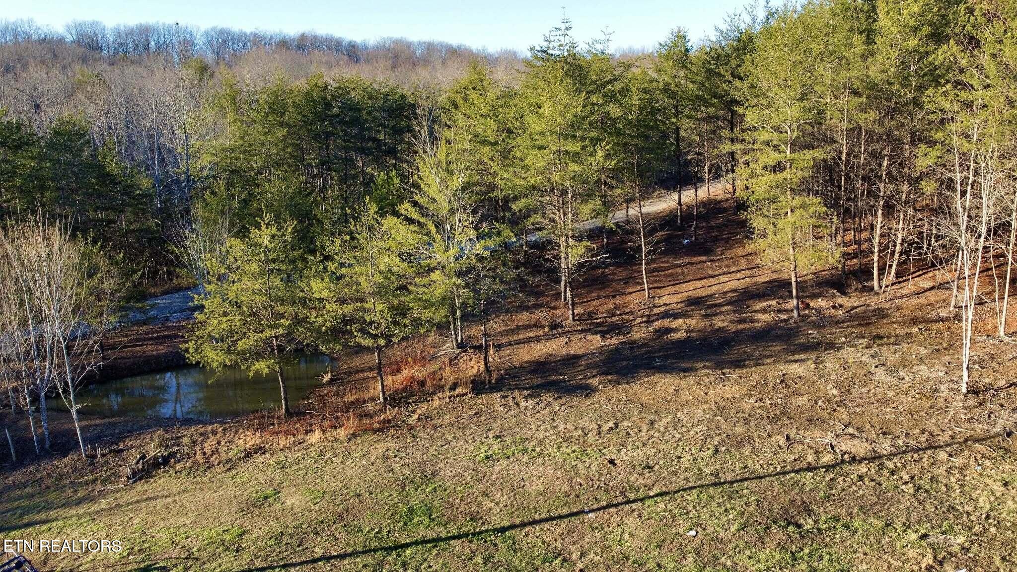 25 Myers Loop Road Pikeville, TN 37367 - Photo 17 of 40 Messenger_creation_C0A3D897-ACEA-4441-8E