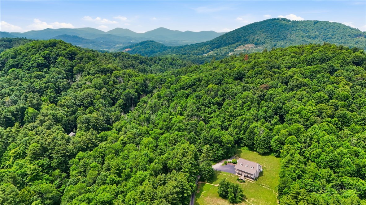245 Papa Cook Road Boone, NC 28607 - Photo 20 of 48