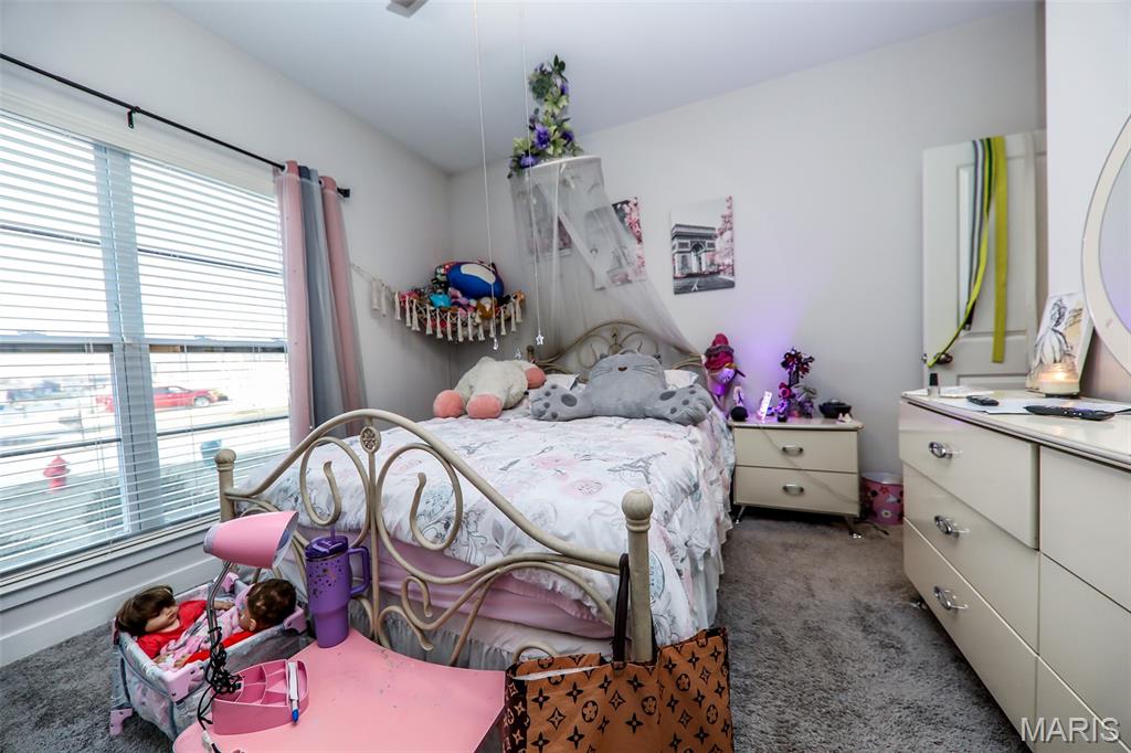 1824 Appleton Court Maryville, IL 62062 - Photo 13 of 20