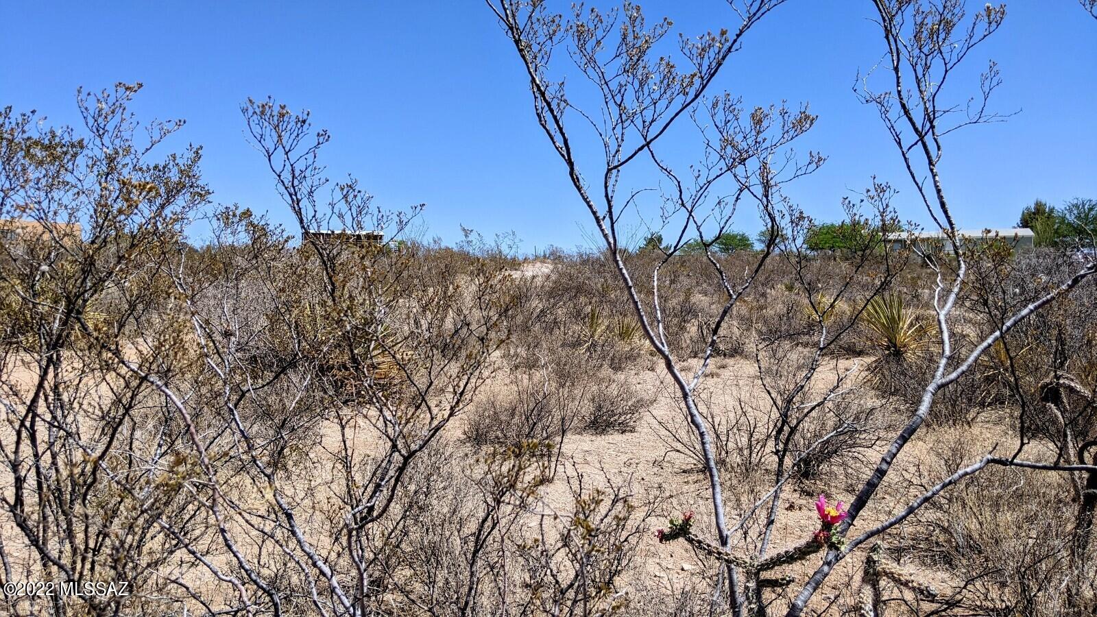 1-lot East Roadrunner Ridge Tombstone, AZ 85638 - Photo 12 of 20
