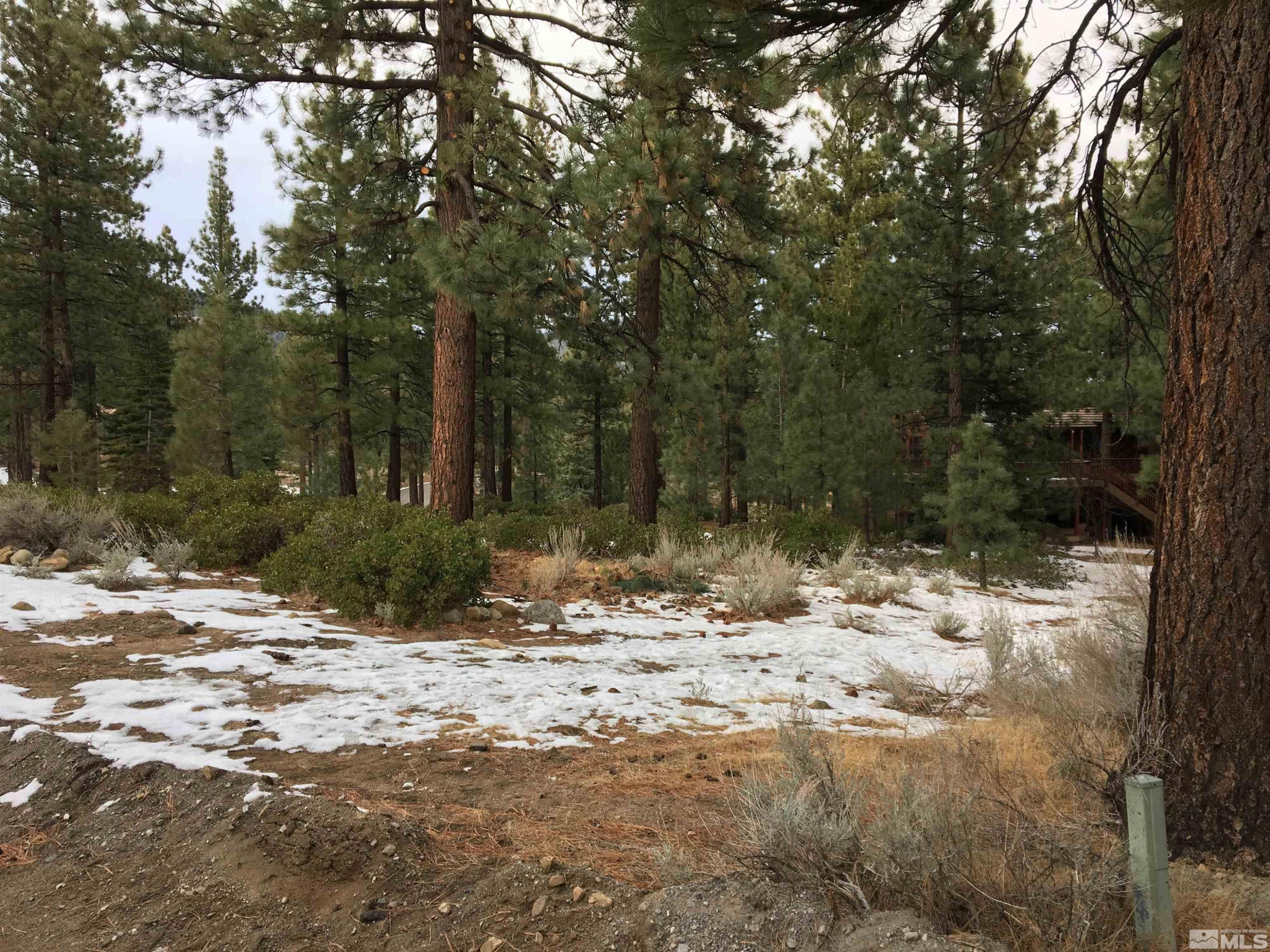 1200 Douglas Fir Drive Reno, NV 89511 - Photo 1 of 15 a view of a yard with trees
