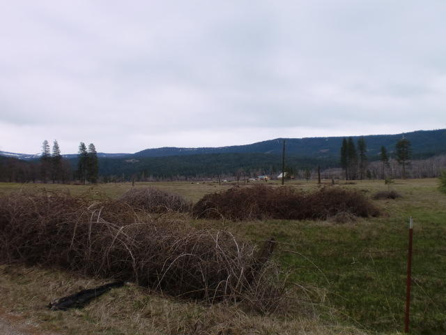 Forwards Mill Road Manton, CA 96059 - Photo 11 of 11 CIMG3138