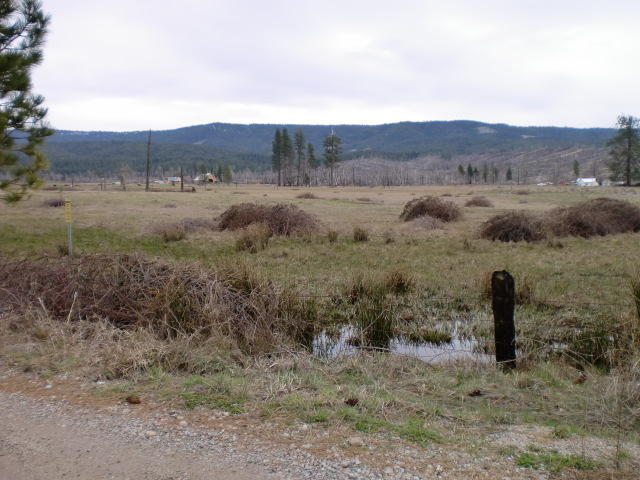 Forwards Mill Road Manton, CA 96059 - Photo 5 of 11 CIMG3132