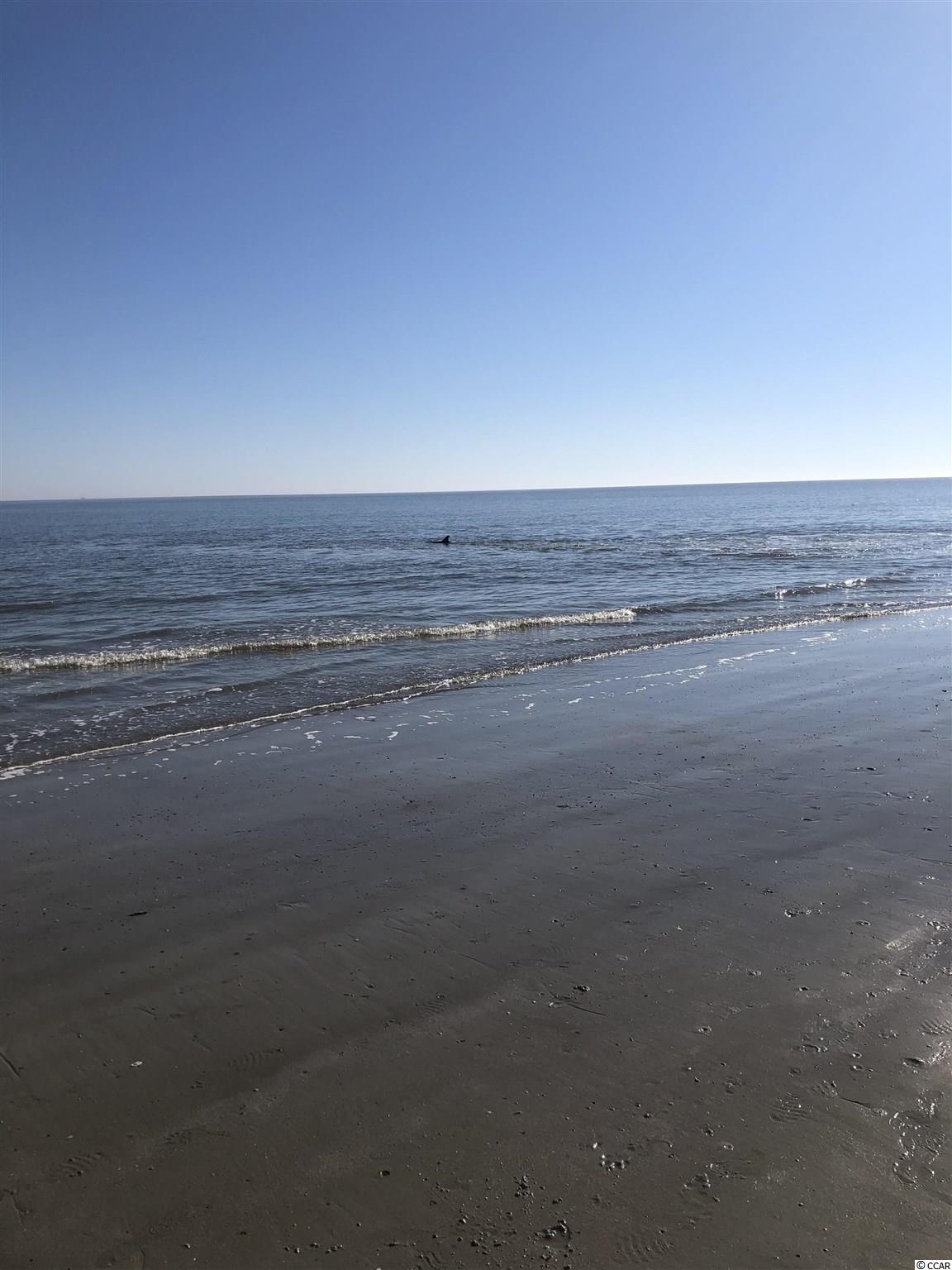 1100 Possum Trot Road, Unit G 326 North Myrtle Beach, SC 29582 - Photo 14 of 15