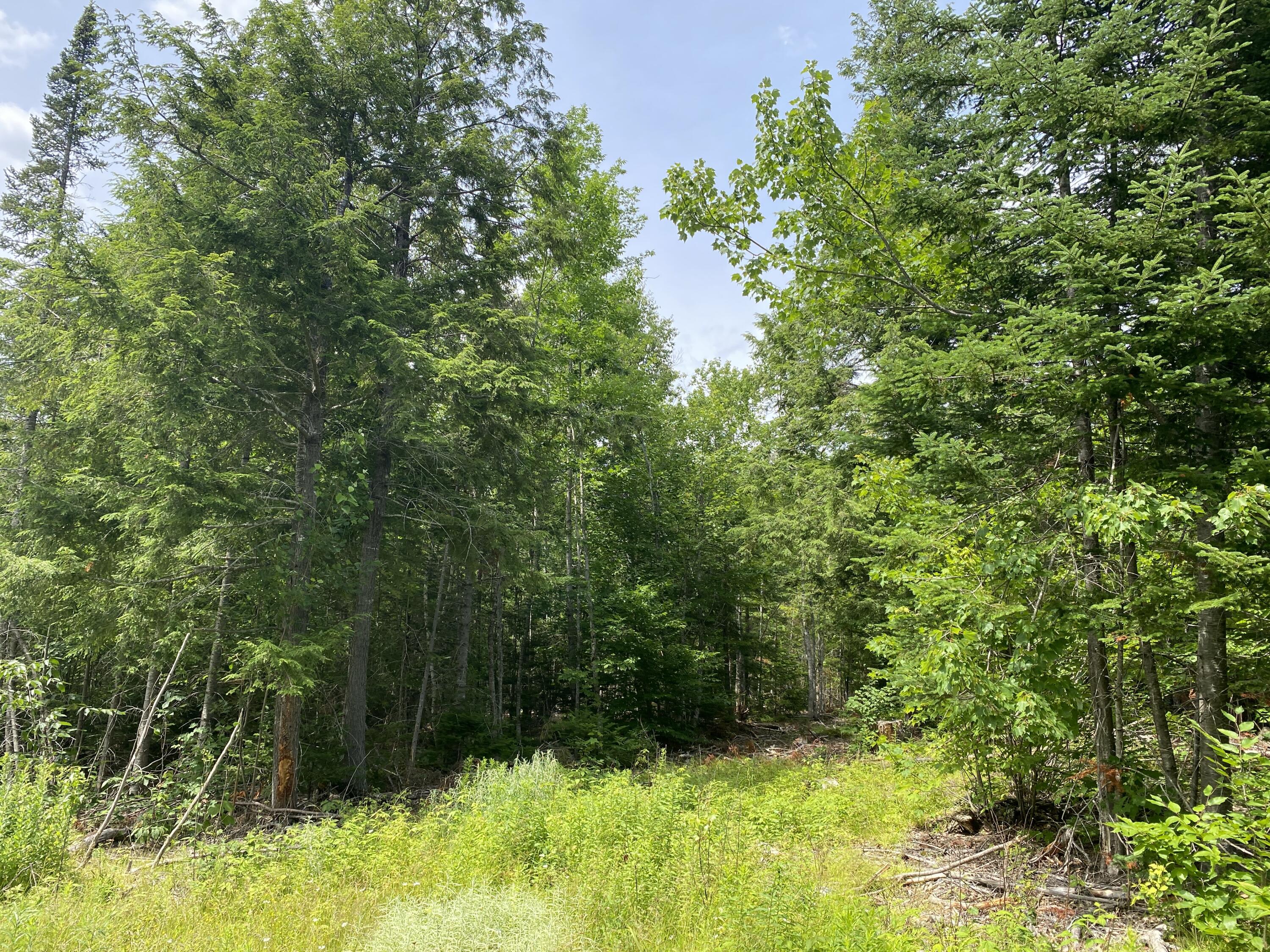 1509 Otis Road Ellsworth, ME 04605 - Photo 20 of 26 IMG_3891