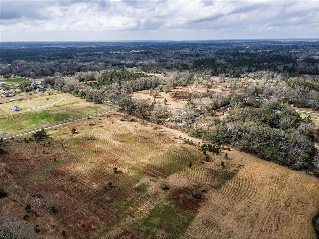 36393 Ed Yates Road Pearl River, LA 70452 - Photo 5 of 8 Gallery Image 5